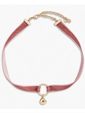 NWT Lucky Brand Mauve Velvet Choker Necklace